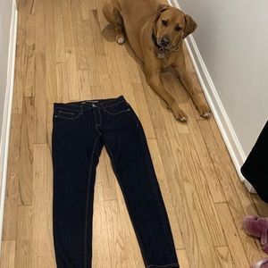 NWOT Express Dark Wash High Rise Skinny Jeans